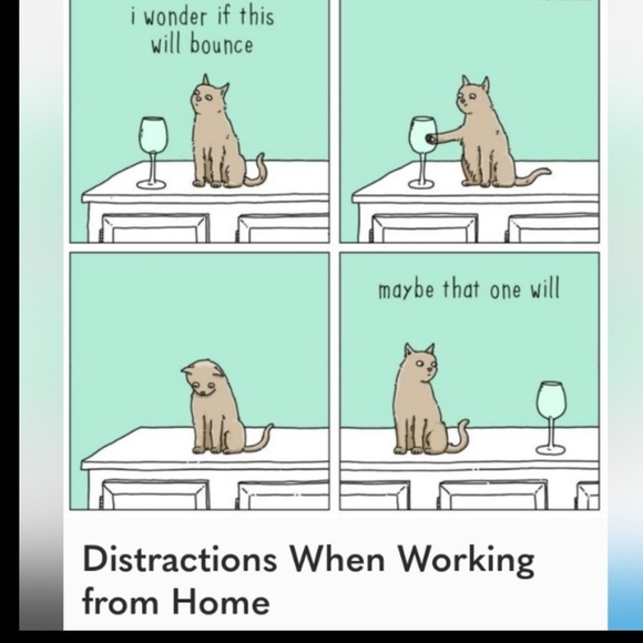 WEN Anti-frizz Styling Cream - Picture 6 of 16